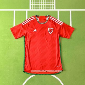 1ª Camiseta Gales 2022